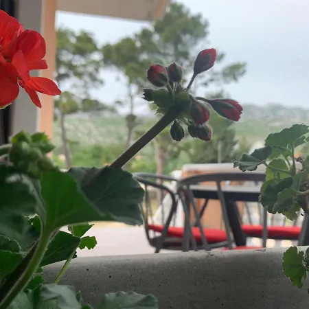 Spomenka * Seline
