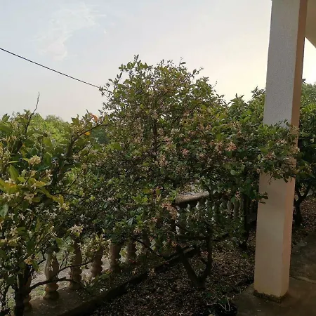 Spomenka Apartman Seline