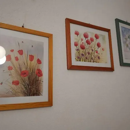 Spomenka * سيلين