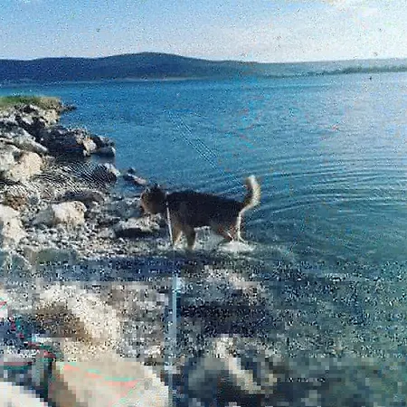 Apartman Spomenka *