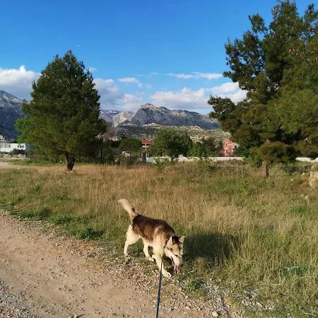 Spomenka *