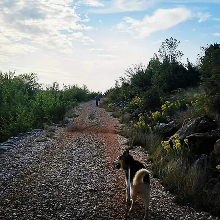 Apartman Spomenka
