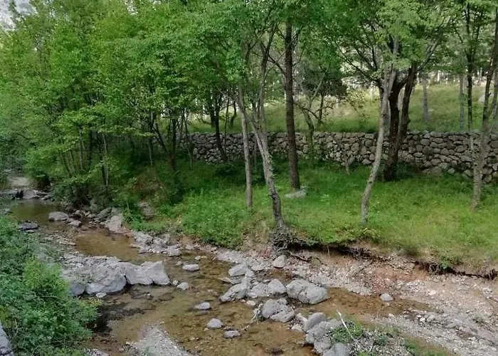 Spomenka * 셀리네