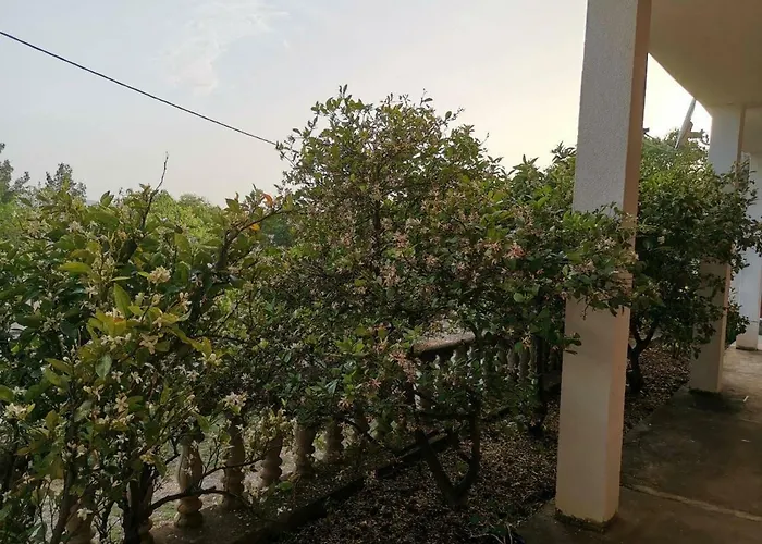 Spomenka Apartman Seline