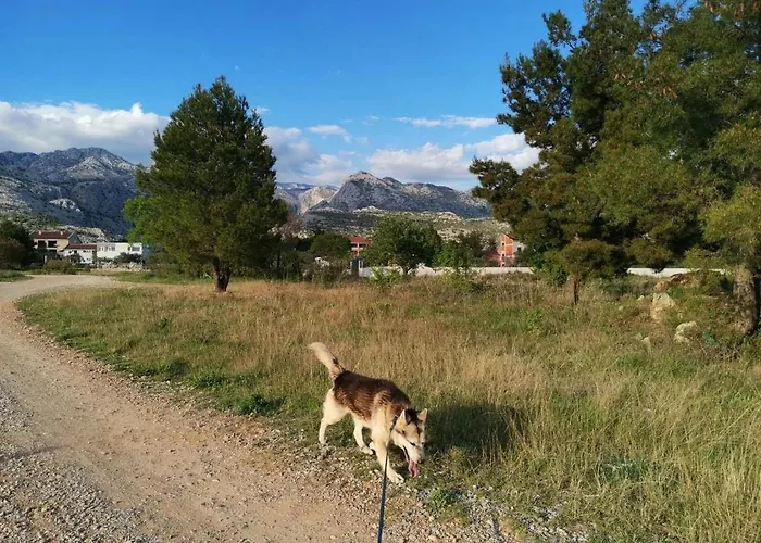 Spomenka *